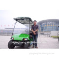 8 places electric air port golf cart with green color